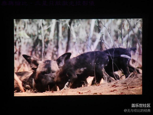 【三星智能激光投影儀試用體驗(yàn)】好看又好玩的便攜投影儀