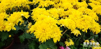 三星note9神筆在手??