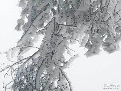 2018年第一場雪，多年不見啊