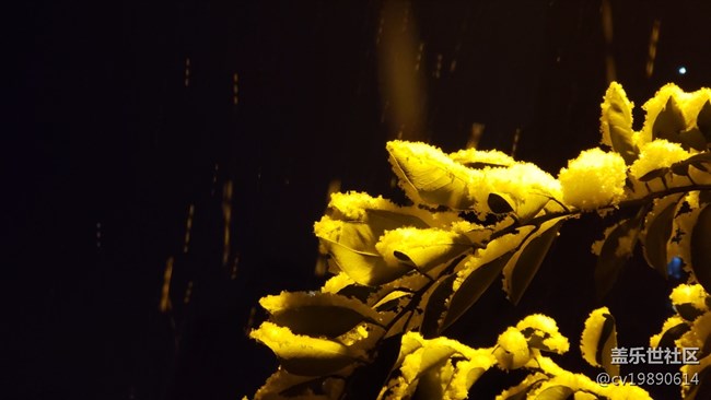 元旦第一貼，說(shuō)說(shuō)9.0