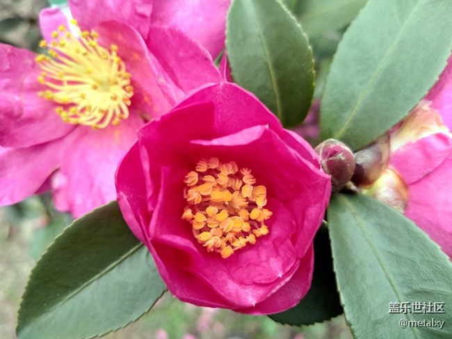 【A6s星粉體驗團】三星Galaxy A6s暢玩吃雞王者不卡頓