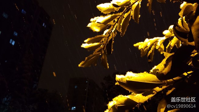 元旦第一貼，說(shuō)說(shuō)9.0