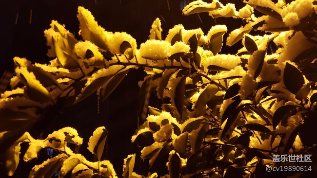 元旦第一貼，說(shuō)說(shuō)9.0