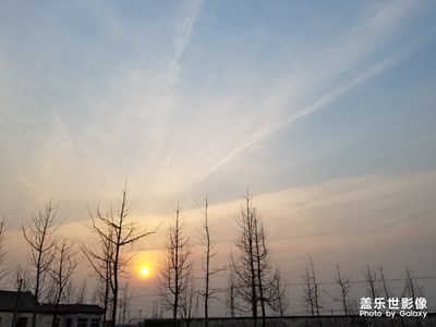 元旦隨手拍！