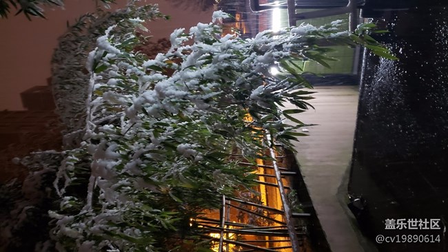 元旦第一貼，說(shuō)說(shuō)9.0