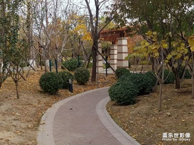 【2019嗨翻新年】+四處轉(zhuǎn)轉(zhuǎn)