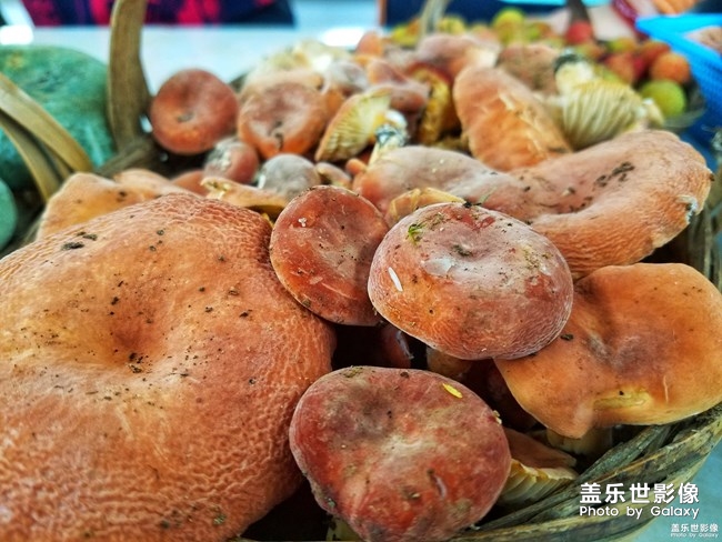 第70期--手機里的美食開獎了