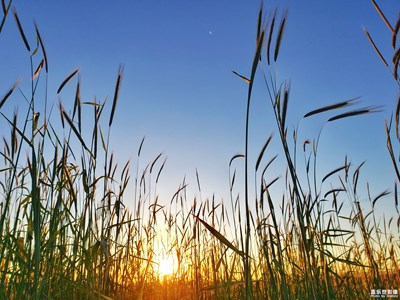 鄉(xiāng)村田野紀(jì)實by 9+