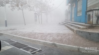 霧松