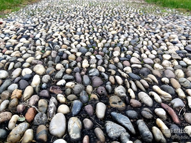 【A9s星粉體驗(yàn)團(tuán)】2019年的第一次玩機(jī) 魅力“四攝”三星A9s