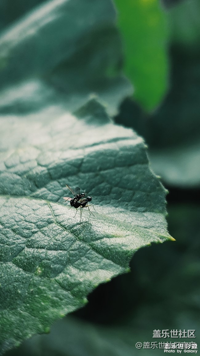 每周精帖匯【131期：CES2019三星電子驚喜連連】