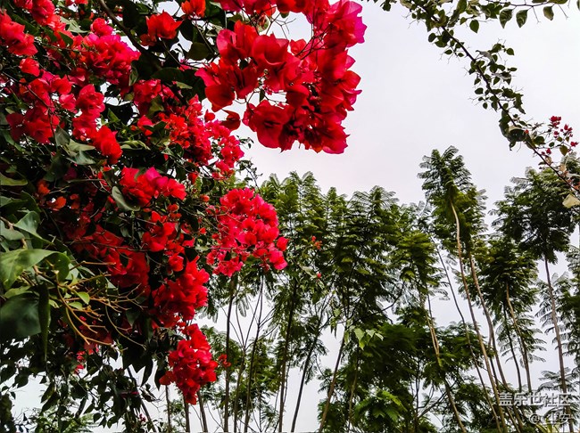 【A6s星粉體驗(yàn)團(tuán)】三星A6s，一款顏值和拍照都能打的中端機(jī)