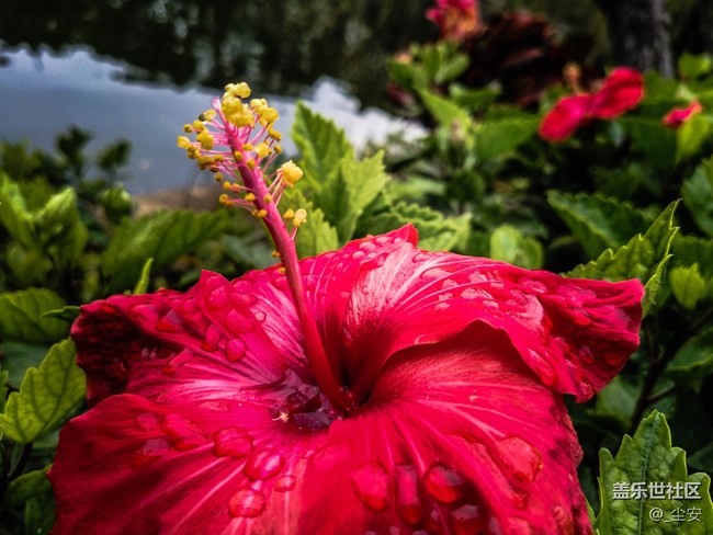 【A6s星粉體驗(yàn)團(tuán)】三星A6s，一款顏值和拍照都能打的中端機(jī)