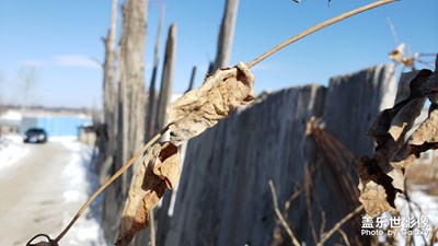東北農(nóng)村隨拍