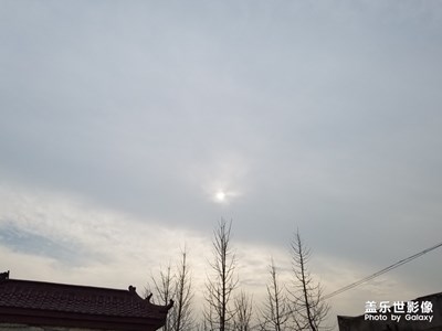 【午后時(shí)光】