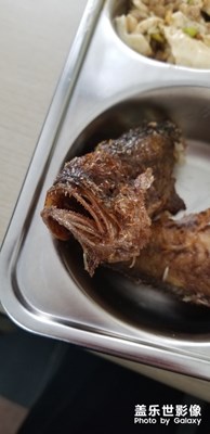 聽(tīng)說(shuō)你很兇殘。。。