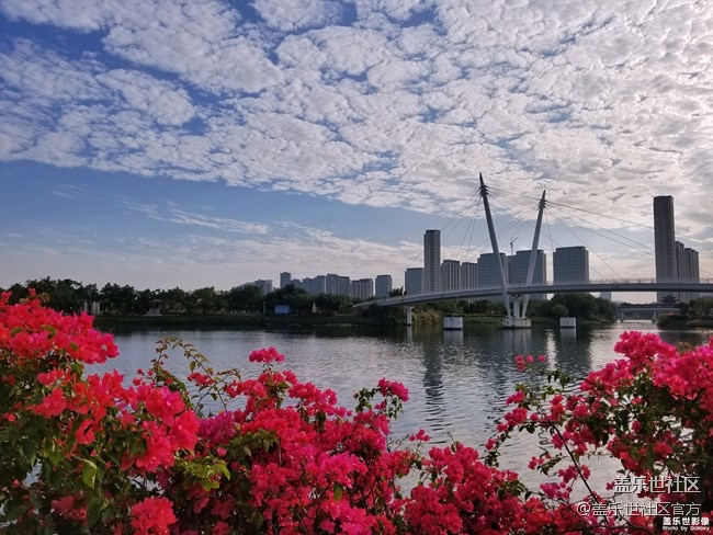 每周精帖匯【132期：三星尋星計(jì)劃璀璨啟程音樂會(huì)成功舉辦】