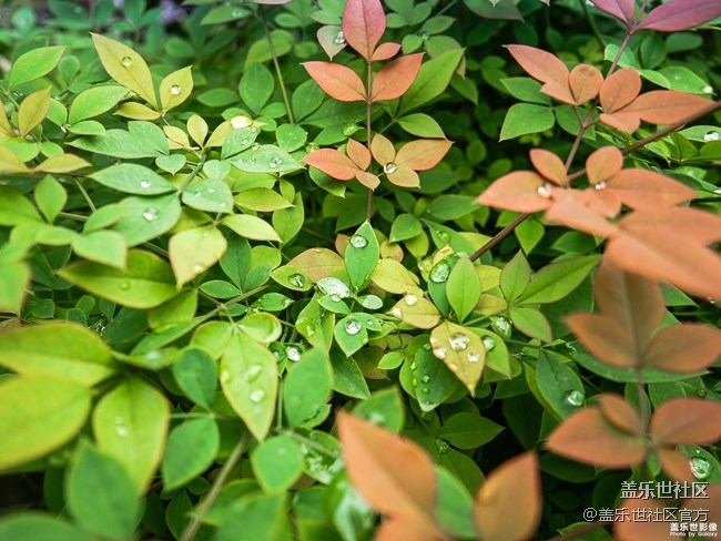 每周精帖匯【132期：三星尋星計(jì)劃璀璨啟程音樂會(huì)成功舉辦】