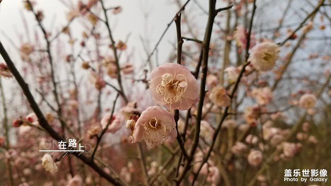 2019最美風(fēng)景就在身邊的路上