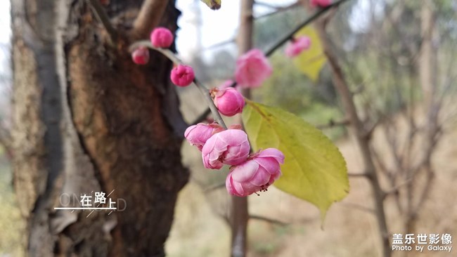 2019最美風(fēng)景就在身邊的路上
