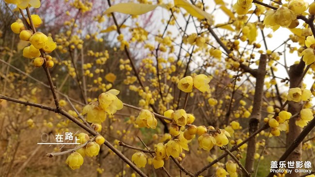 2019最美風(fēng)景就在身邊的路上