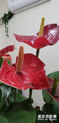 生活+享受+逍遙你能做到嘛……