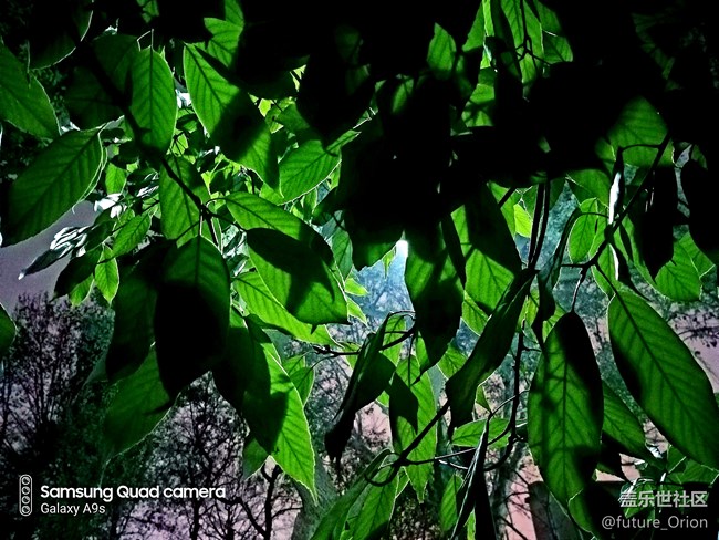 【A9s星粉體驗團】顛覆四攝咔咔咔～上手體驗