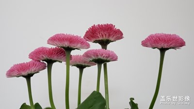 換個(gè)角度看問(wèn)題