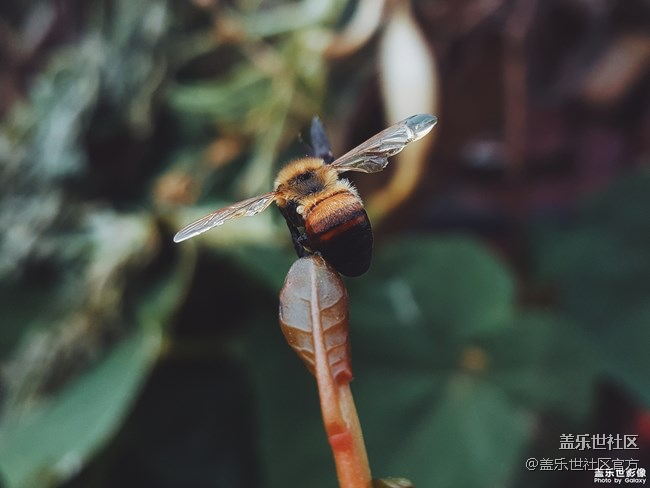 每周精帖匯【133期：春節(jié)模式開啟啦 祝大家小年快樂！】