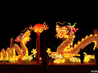 賞花燈