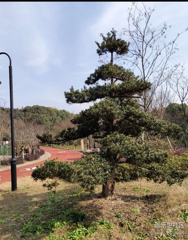 【曬出我的年味兒】-我與三星S9+的故事