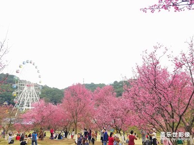 【這世界正美】+南方小城的美麗景色