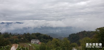 春節(jié)隨拍