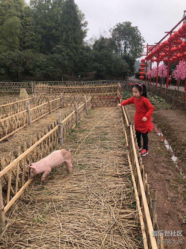 【曬出我的年味兒】- 開開心心過大年