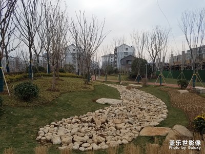 【這世界正美】+逛公園