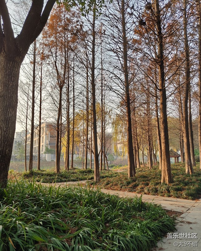 【曬出我的年味兒】過年隨便拍拍