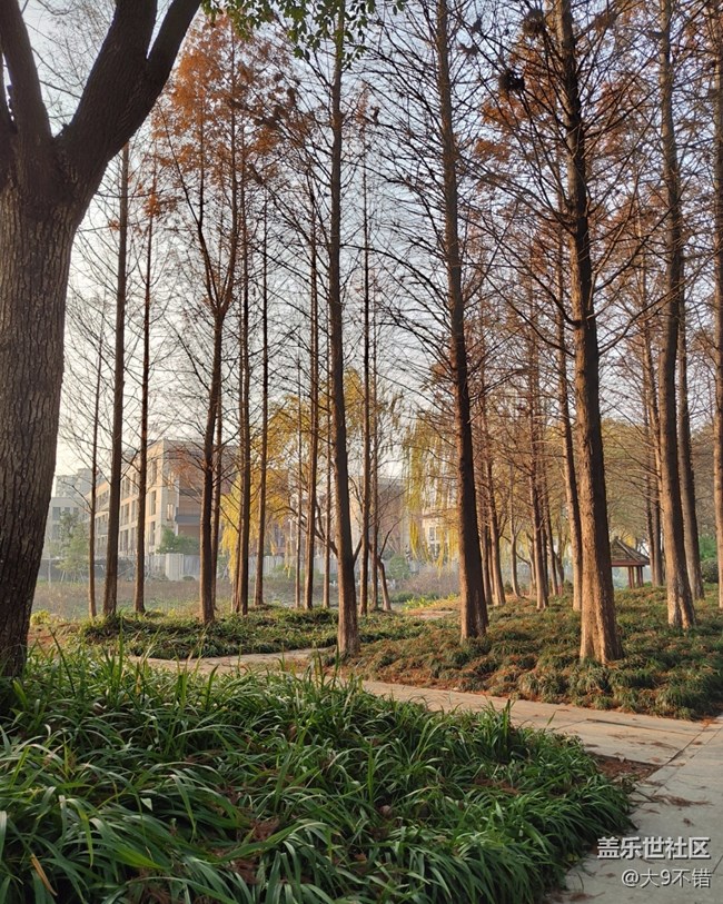 【曬出我的年味兒】過年路邊隨便拍拍