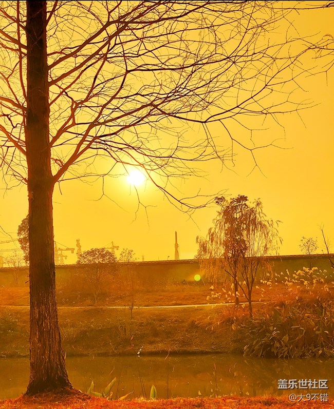 【曬出我的年味兒】過年隨便拍拍