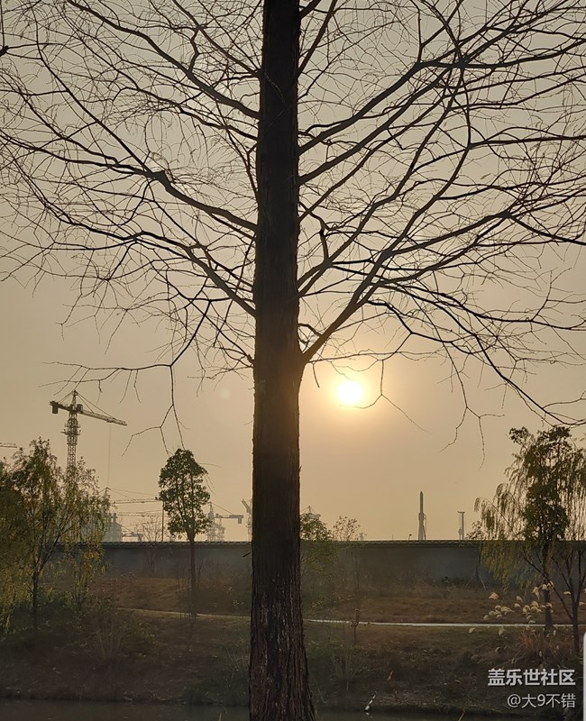 【曬出我的年味兒】過年隨便拍拍