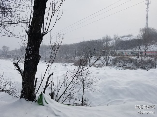下雪后的運動