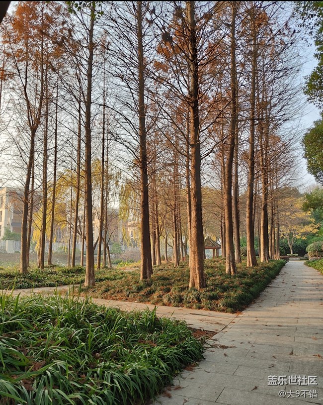 【曬出我的年味兒】過年隨便拍拍