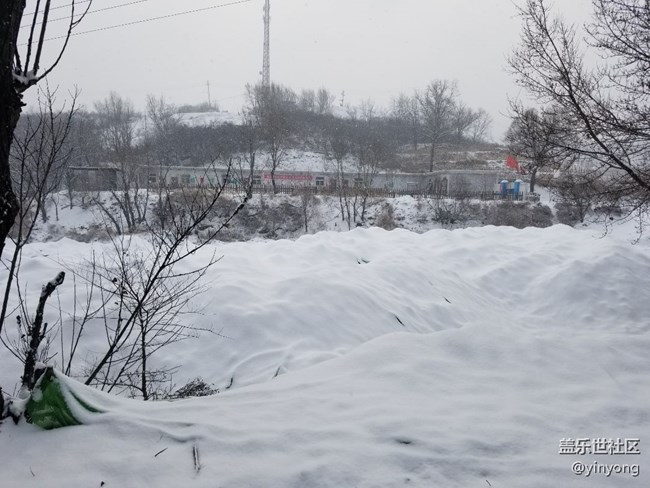 下雪后的運動