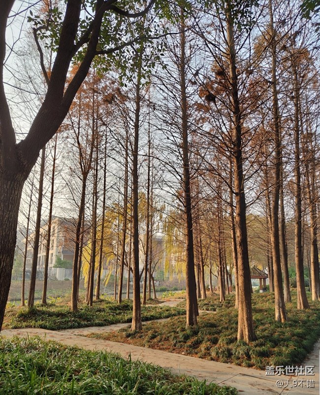 【曬出我的年味兒】過年路邊隨便拍拍