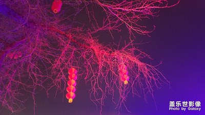 【正月十五】+鬧花燈，