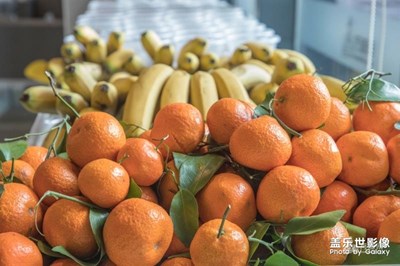 開(kāi)始新的一年