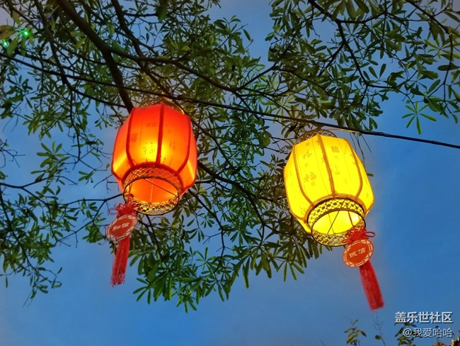 【我的上元夜】- 看花燈