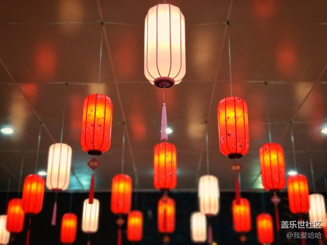 【我的上元夜】- 看花燈