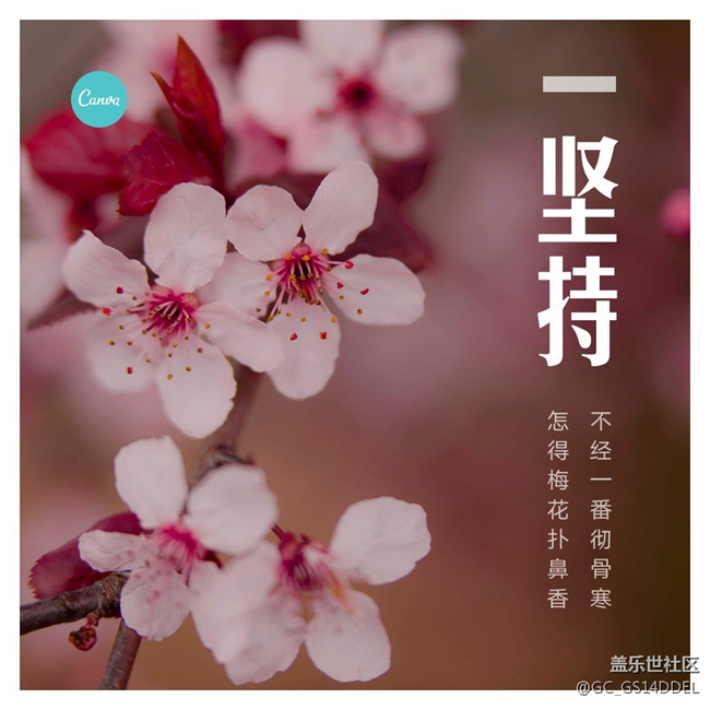 機(jī)鋒論壇有9.0的內(nèi)測包，我已上車