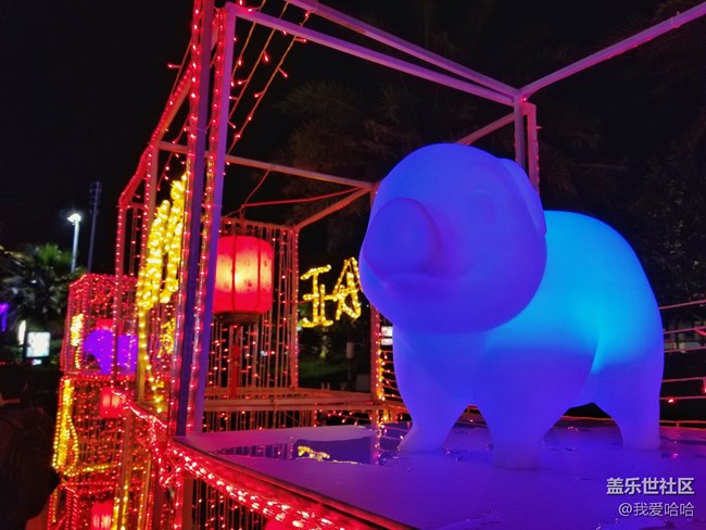 【我的上元夜】- 看花燈