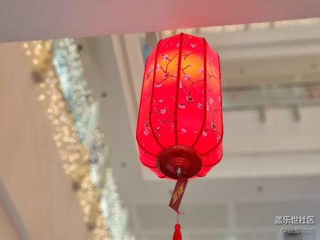 【我的上元夜】- 看花燈